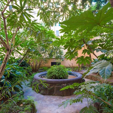 Casa Satrico Daire Roma Dış mekan fotoğraf